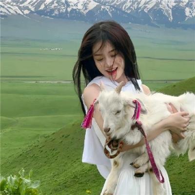茶是故乡浓粤语