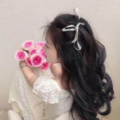 鼠来宝4：萌在囧途